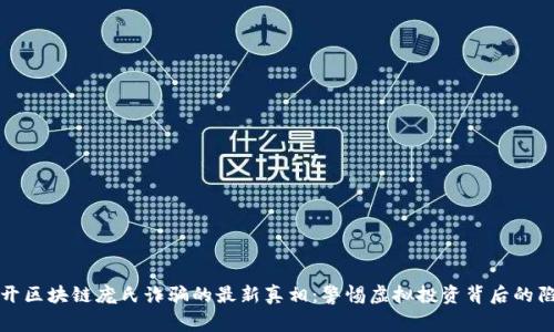 揭开区块链庞氏诈骗的最新真相:警惕虚拟投资背后的陷阱