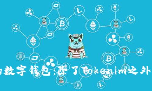探索最受欢迎的数字钱包:除了Tokenim之外,还有哪些选择?