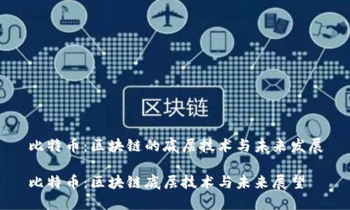比特币:区块链的底层技术与未来发展
比特币:区块链底层技术与未来展望