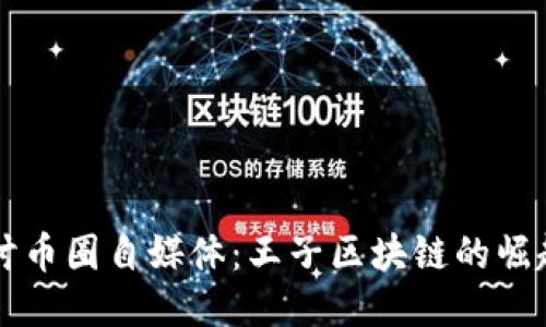 深入探讨币圈自媒体：王子区块链的崛起与未来