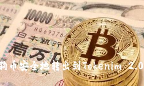 如何将狗狗币安全地转出到Tokenim 2.0:详细指南
