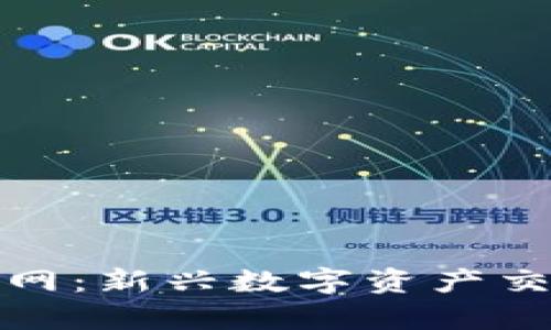 全面解析区块链币币网:新兴数字资产交易平台的优势与挑战
