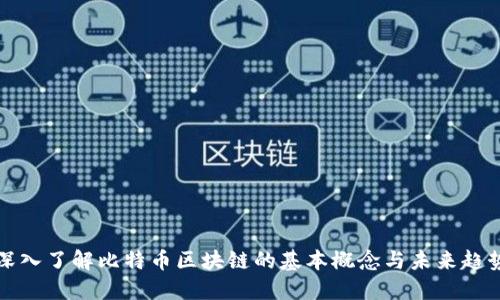 深入了解比特币区块链的基本概念与未来趋势