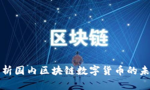 全面解析国内区块链数字货币的未来发展