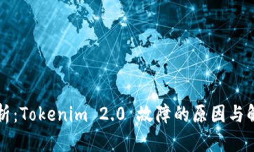 深入解析:Tokenim 2.0 故障的原因与解决方案