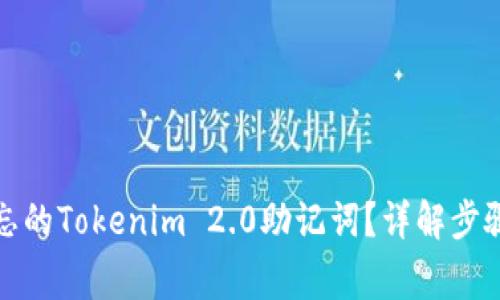 如何找回遗忘的Tokenim 2.0助记词？详解步骤与注意事项