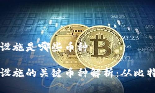 区块链基础设施是哪些币种

区块链基础设施的关键币种解析：从比特币到以太坊