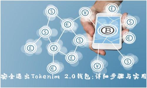 如何安全退出Tokenim 2.0钱包：详细步骤与实用建议
