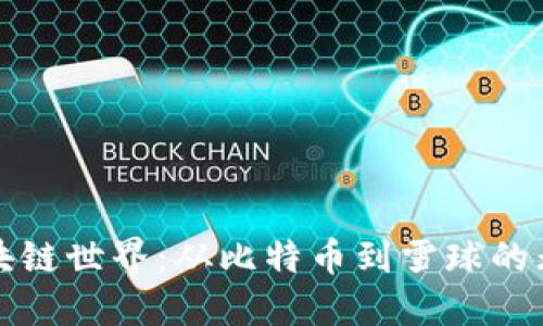 探索区块链世界：从比特币到雪球的无限可能