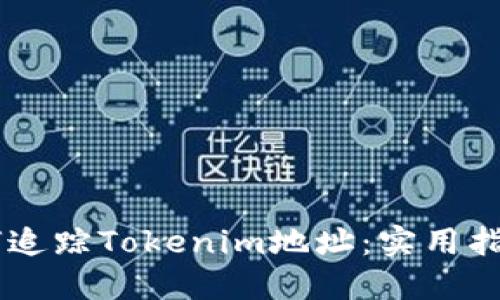 ## 如何追踪Tokenim地址:实用指南与技巧