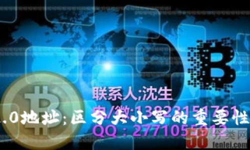 Tokenim 2.0地址：区分大小写的重要性与最佳实践