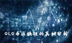OLO币区块链的真相分析