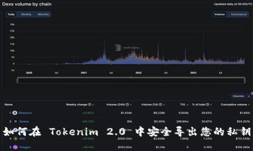 如何在 Tokenim 2.0 中安全导出您的私钥