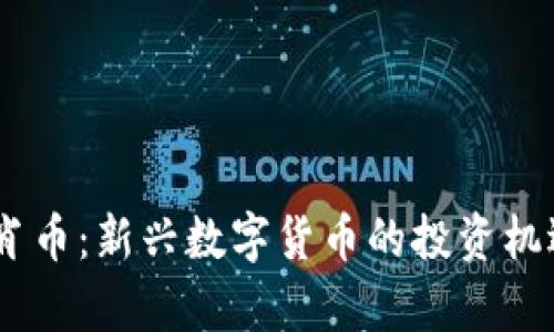 区块链12生肖币：新兴数字货币的投资机遇与风险分析