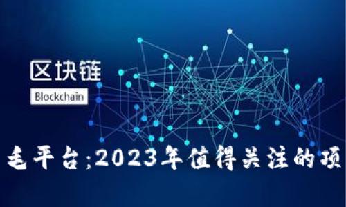 最新区块链羊毛平台：2023年值得关注的项目及投资攻略