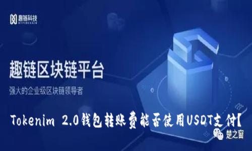 Tokenim 2.0钱包转账费能否使用USDT支付？