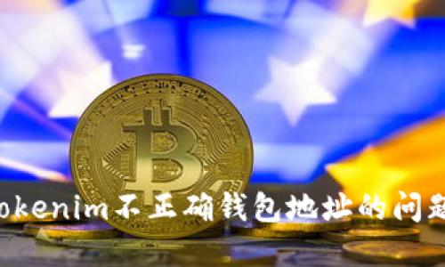 如何解决Tokenim不正确钱包地址的问题：实用指南