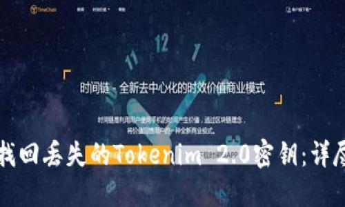 如何找回丢失的Tokenim 2.0密钥：详尽指南