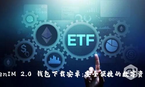 Title: TokenIM 2.0 钱包下载安卓：安全便捷的数字资产管理工具