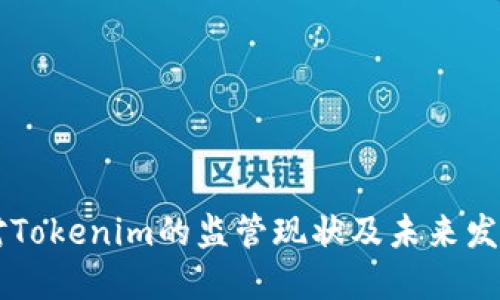 中国对Tokenim的监管现状及未来发展展望