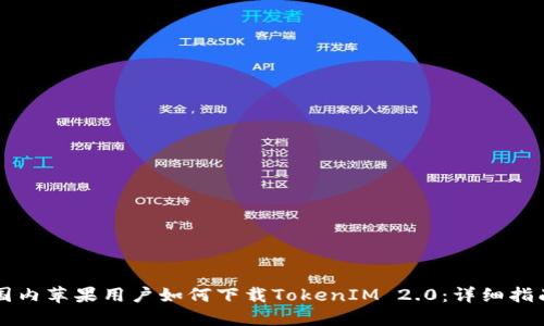 国内苹果用户如何下载TokenIM 2.0：详细指南