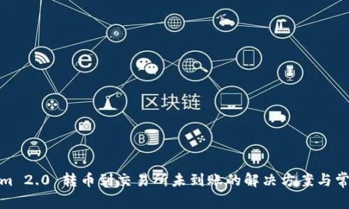 Tokenim 2.0 转币到交易所未到账的解决方案与常见问题