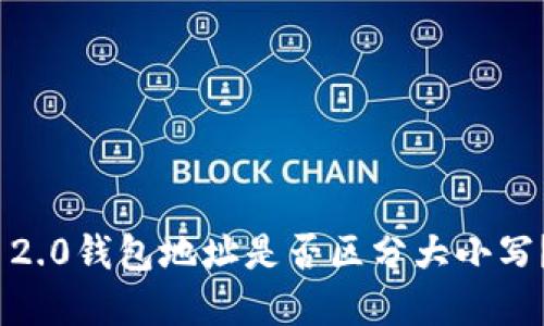 TokenIM 2.0钱包地址是否区分大小写？完整指南