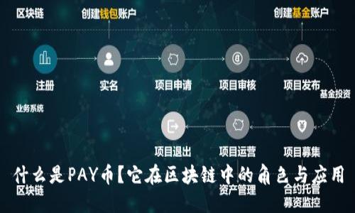 什么是PAY币？它在区块链中的角色与应用