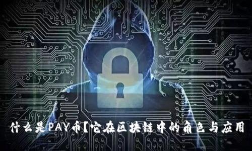 什么是PAY币？它在区块链中的角色与应用