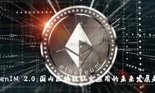 TokenIM 2.0：国内区块链社交应用的未来发展趋势