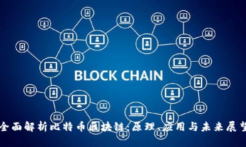 全面解析比特币区块链：原理、应用与未来展望