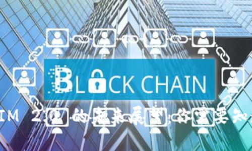 : TokenIM 2.0 的未来展望：你需要知道的一切