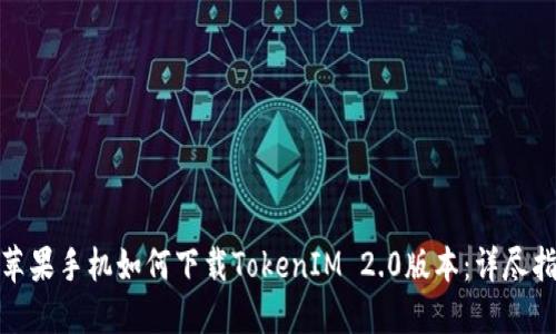 : 苹果手机如何下载TokenIM 2.0版本：详尽指南
