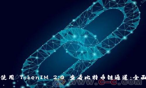如何使用 TokenIM 2.0 查看比特币链通道：全面指南