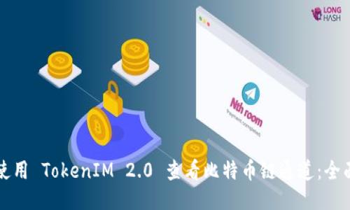 如何使用 TokenIM 2.0 查看比特币链通道：全面指南