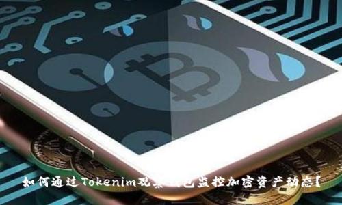 如何通过Tokenim观察钱包监控加密资产动态？